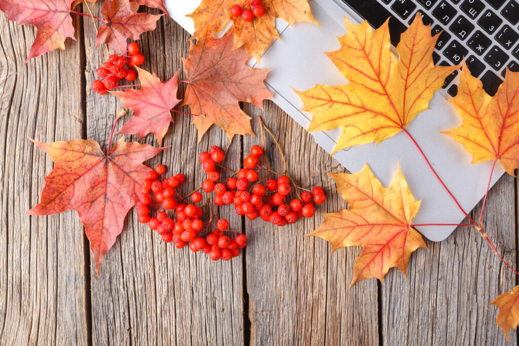 Autumn Maintenance for Your Home