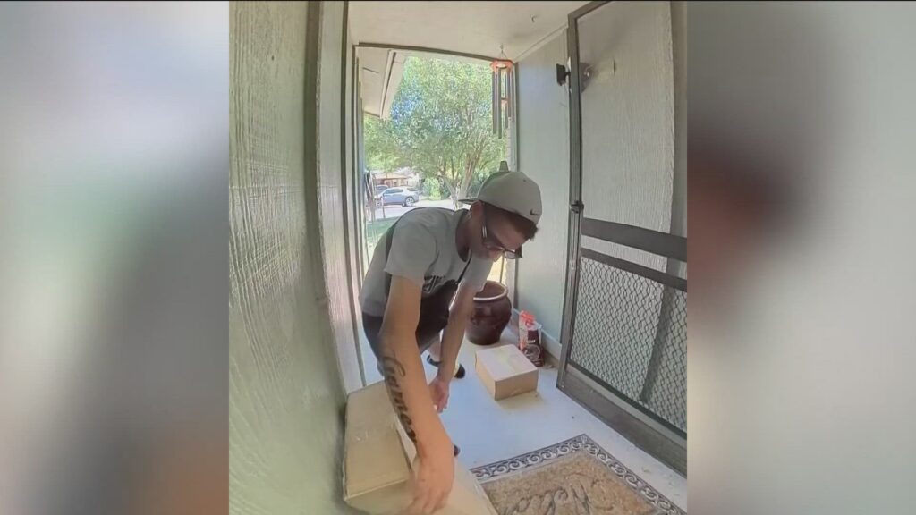 Alleged Thief Caught on Camera Pretending to Be Delivery Person Alleged Thief Caught on Camera Pretending to Be Delivery Person